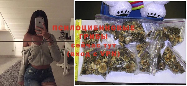 амф Мегион