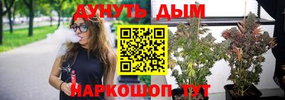 гашик Гатчина