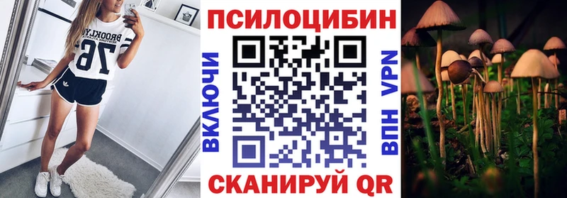 Псилоцибиновые грибы мицелий  Отрадное 