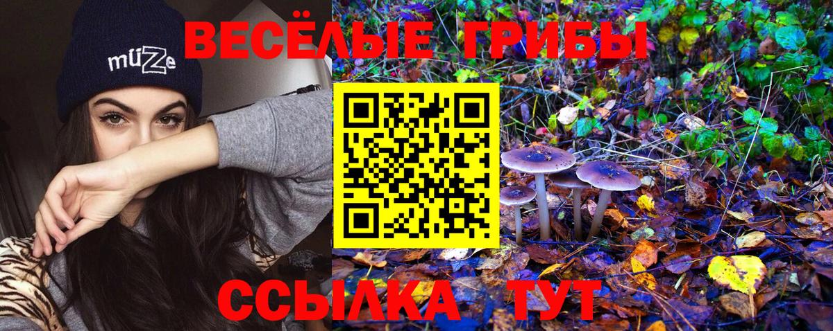 Галлюциногенные грибы прущие грибы Отрадное