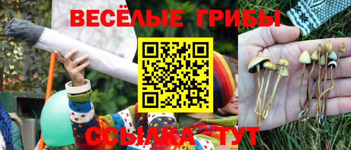 Псилоцибиновые грибы Magic Shrooms  Вход с VPN  Отрадное 