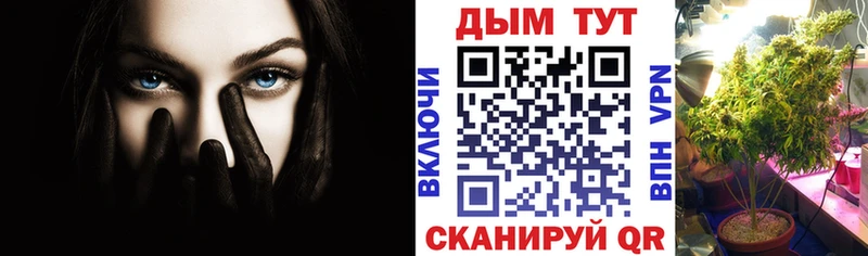 мориарти клад Отрадное Шишки марихуана марихуана закладка